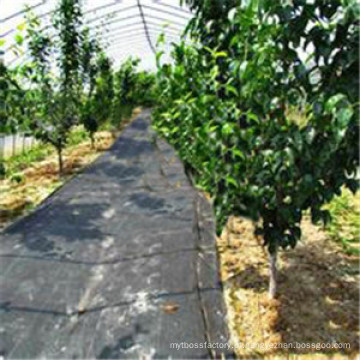 China Tecido de barreira de erva daninha de polipropileno preto Spunbond em 120GSM